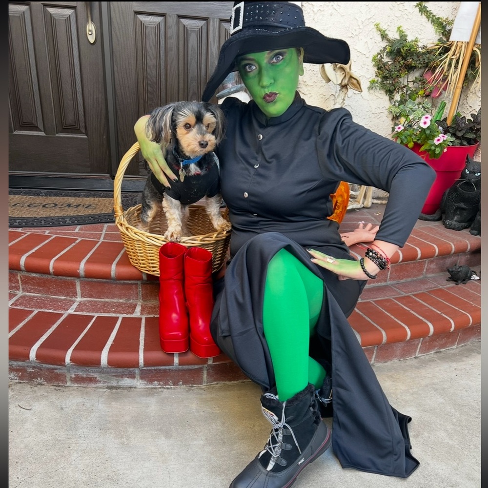 Black Dress with Green Tights “Wicked Costume”
